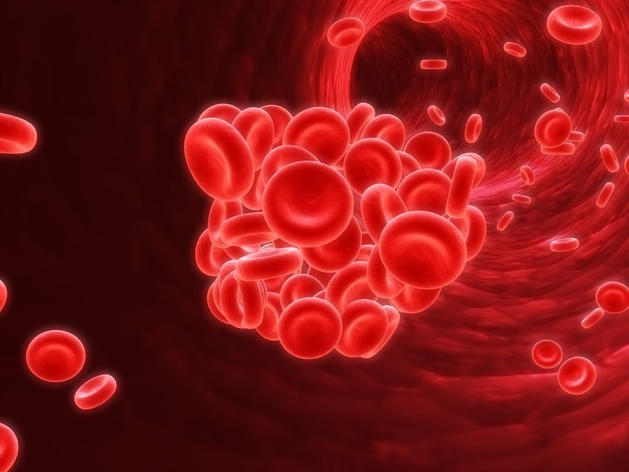 Erythrocytes are red blood cells; The ESR blood test measures their sedimentation rate