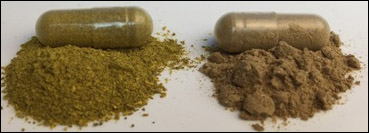 Real vs. Fake Goldenseal Root Powders